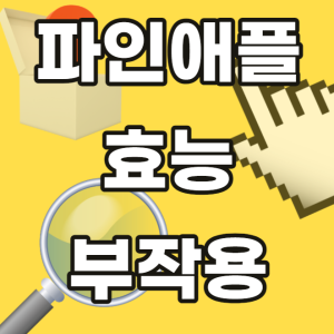 파인애플 효능 부작용