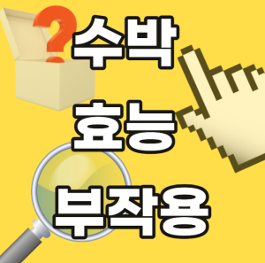 수박 효능 부작용