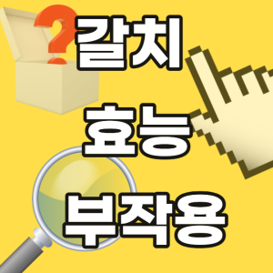 갈치 효능 부작용
