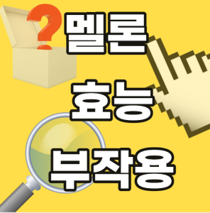 멜론 효능 부작용