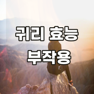 귀리 효능 부작용