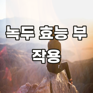 녹두 효능 부작용