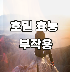 호밀 효능 부작용