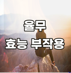 율무 효능 부작용