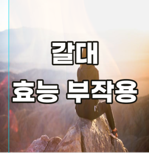 갈대 효능 부작용