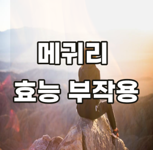 메귀리 효능 부작용