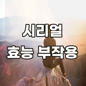 시리얼 효능 부작용