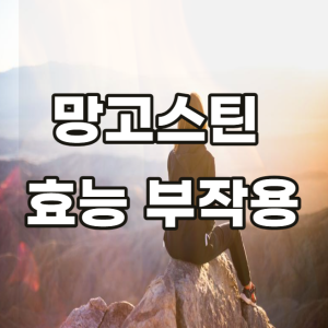 망고스틴 효능 부작용