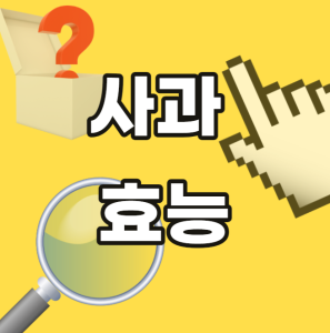 사과 효능 부작용