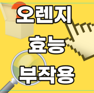 오렌지 효능 부작용