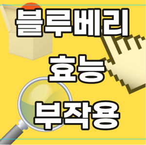 블루베리 효능 부작용